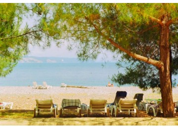 Собственный пляж| Пансионат «ОПК Пицунда »| Абхазия, Пицунда